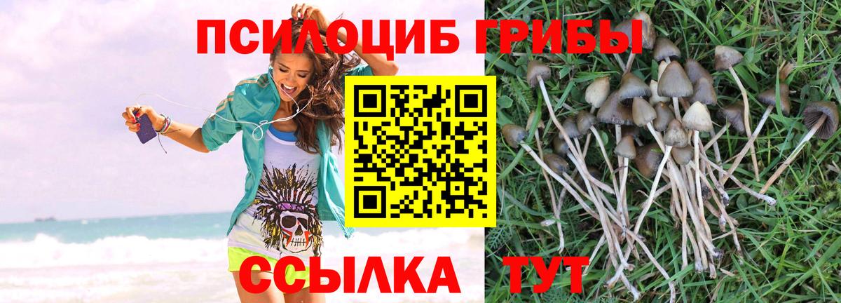 Галлюциногенные грибы Cubensis  Вход с VPN  Псилоцибиновые грибы Psilocybine cubensis  Солнечногорск 